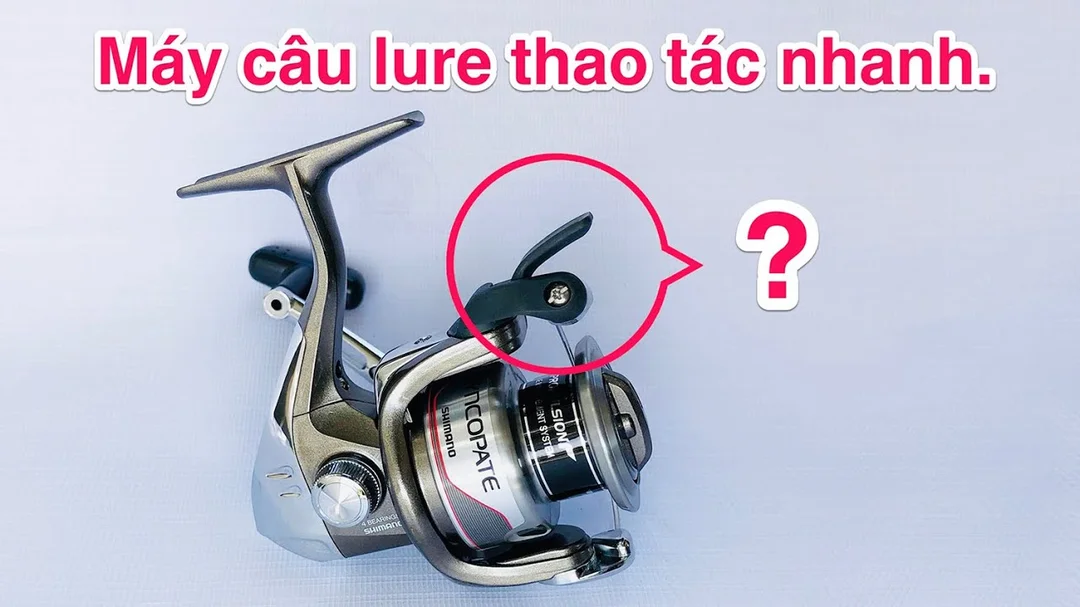 Video máy câu Shimano dùng cho câu lure cá lóc