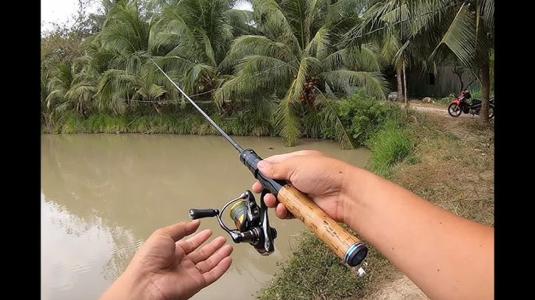 video test cần câu lure ul giá rẻ